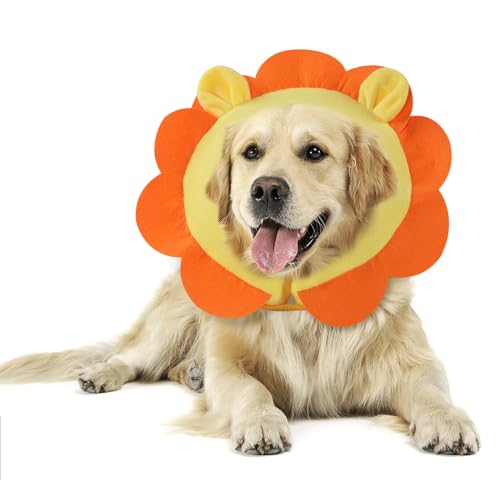Inflatable Recovery Dog Collar (Orange Lion / Medium + (Neck:11''-13''))