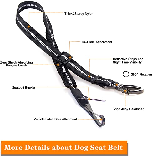 Dog Seat Belt