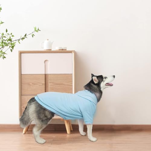 Dog Hoodie for Small Medium Dogs (#2 Blue(Plain) / Small/Medium (All Breed Sizes))