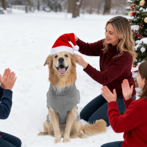 Turtleneck Dog Sweater (Small/Medium / Light Grey)