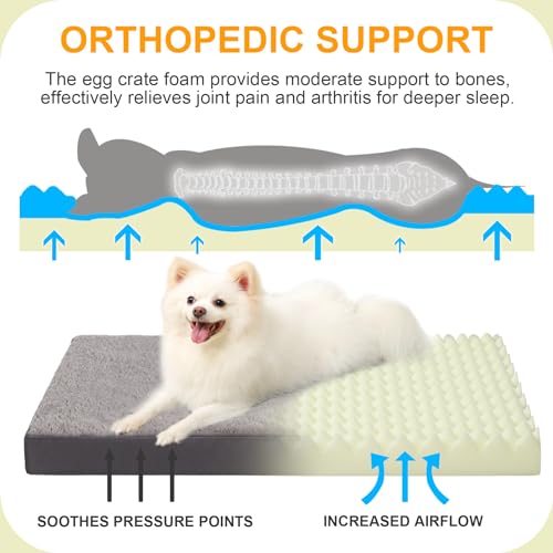 Orthopedic Dog Bed for Small Dogs with Waterproof (Dark Grey / 23.0"L x 17.0"W x 3.0"Th)
