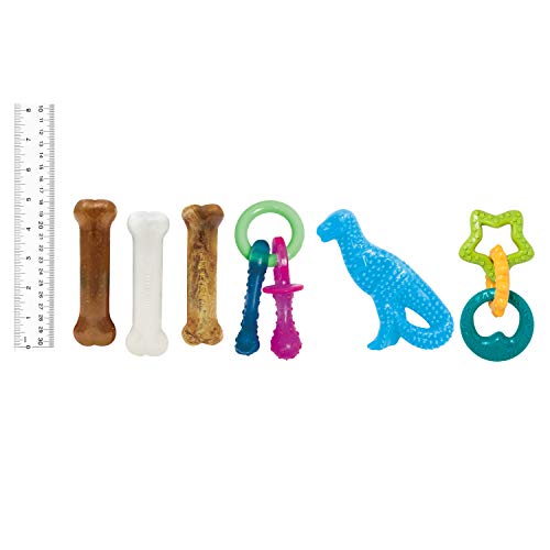 Puppy Chew Toy & Treat Bundle (Bundle / Small)