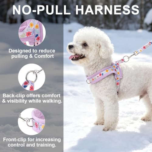 Small Dog Harness and Leash Set (Dark Purple / S: Chest 17.5"-22")