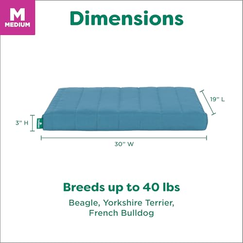 Orthopedic Dog Bed (Medium / Lagoon)