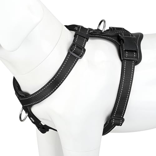No Pull Dog Harness with Leather Accents (M / Black)