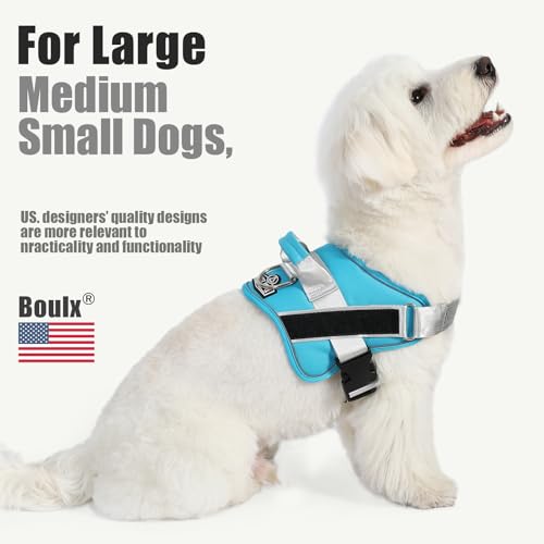 Dog Harness No (Small (Pack of 1) / OceanicBlue)