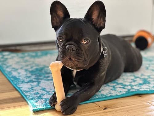 Power Chew Original Bone Dog Chew Toy (Medium)