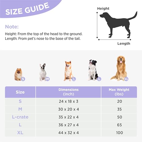 Cute Orthopedic Dog Bed for Extra Large Dogs (44"L x 32"W x 4"Th / Cream)