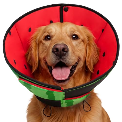 Soft Cone for Dogs (L / Watermelon)