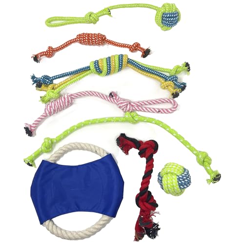 Multipack Dog Squeaky Toys Bulk Bundle Pup Toy (24 PCs Gift Basket)