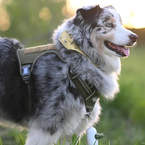 Dog Harness for Small Medium Dogs (Green / S(Neck:14-21",Chest:20-31"),18-35 lbs)