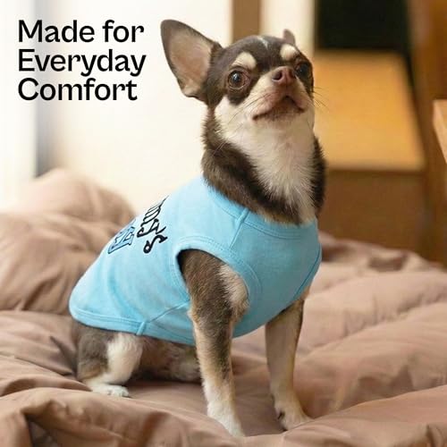 Dog Shirt Mommy’s Boy Pet Shirt (3X-Large (40-65lbs))