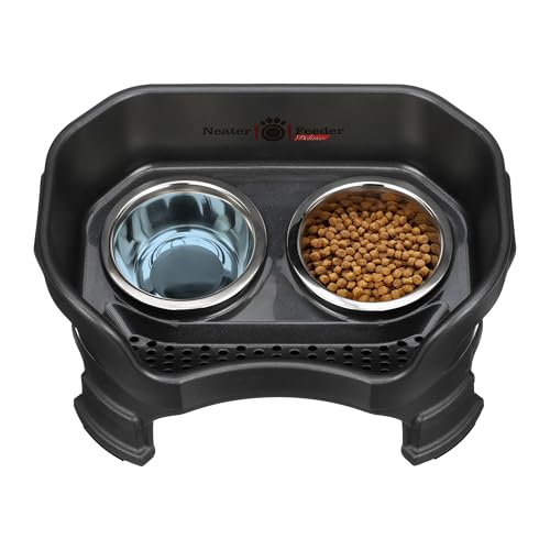 Neater Feeder Deluxe Mess (Small + Standard Bowl / Midnight Black)