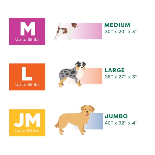 Orthopedic Dog Bed (Jumbo / Wheat)
