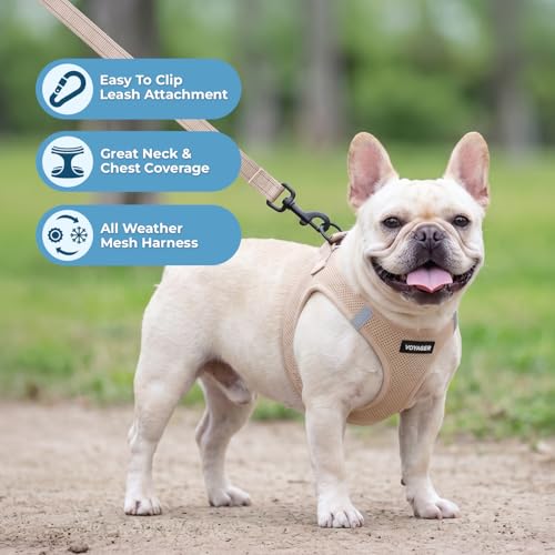 Voyager Step in Air All Weather Mesh Harness and Reflective Dog 5ft Leash Combo with Neoprene Handle (Khaki / XL (Chest: 20.5 - 23"))
