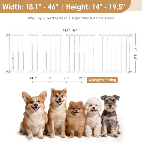 14'' 19.5'' Height Adjustable Dog Gate (White / 14''-19.5''H × 18''-46''W)