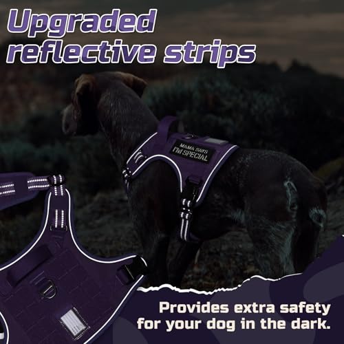 Tactical Dog Harness for X (Purple / X-Large)
