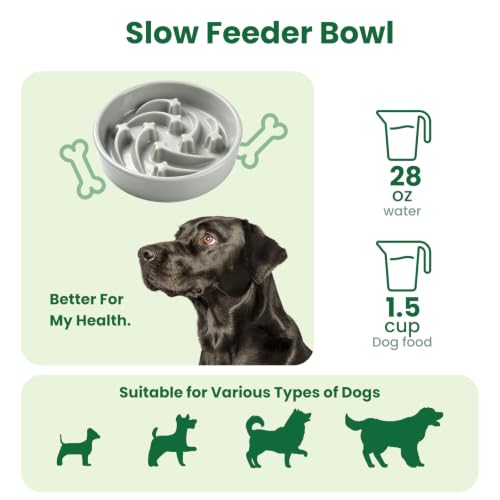 Slow Feeder Dog Bowls Anti (Grey)