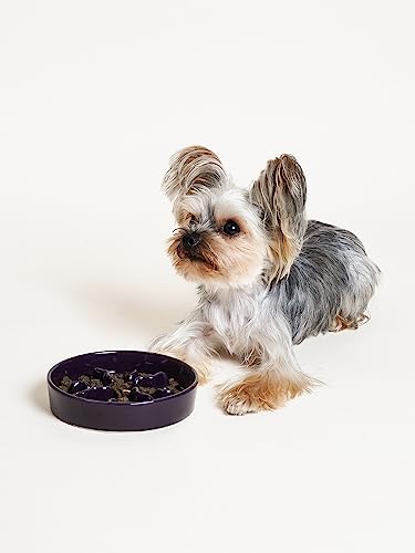 Ceramic Slow Feeder Dog Bowls Small Breed (Purple / S-0.5 Cups)