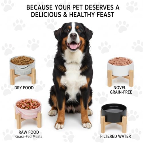 Elevated Raised Ceramic Dog Bowl with Bamboo Stand (Marble Gray / Large)