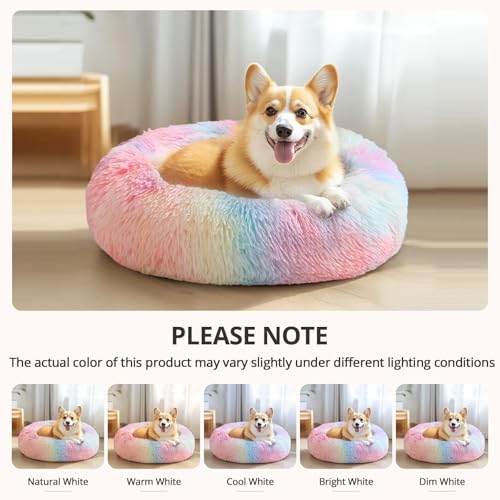 Calming Dog Bed Medium Size Dog (Rainbow / 31.0"L x 31.0"W x 8.0"Th)