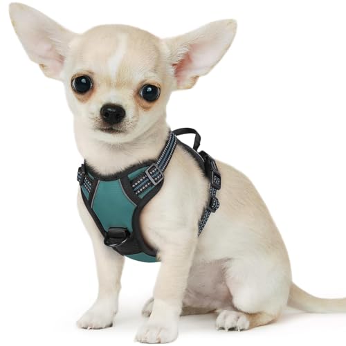 Dog Harness for Small Dogs (X-Small / Dark Green)