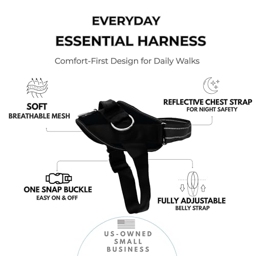 Essential Dog Harness (Midnight / Medium)