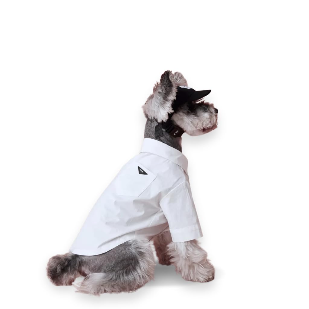 Luxury Pet Dress Shirt for Dogs & Cats (Large 8.9–15.4 lbs)