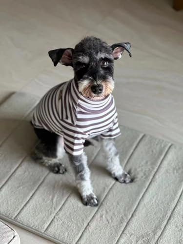 Turtleneck Dog Shirt Cute Doggie Embroidery Super Soft Dog Sweatshirt Stretchy Striped Puppy Pullover for Cats Small Medium Large Dogs (Brown Striped / X-Small)