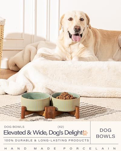 Ceramic Dog Bowls Set with Acacia Wood Stand (Large-3.5Cups / Vintage Grey)