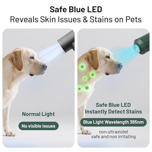 Dog Cat Hair Dryer for Medium