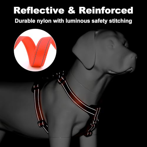 No Pull Dog Harness with Leather Accents (S / Orange)