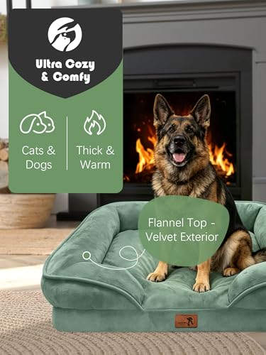 Orthopedic Dog Bed with Sides (42.0"L x 32.0"W x 6.5"Th / Green)