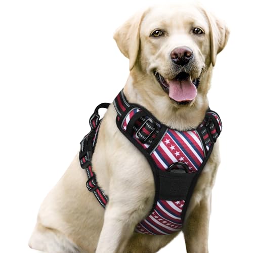 Dog Harness No Pull for Large Dogs with 2 Leash Clips (Large / Red Stripe)