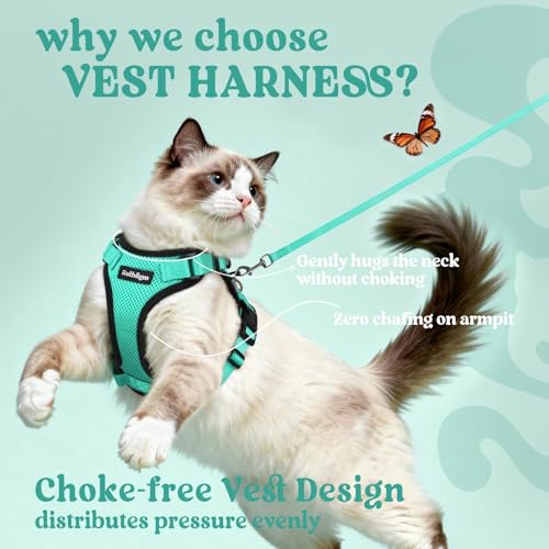 Cat Harness and Leash Set (S / Emerald)