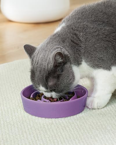 Ceramic Slow Feeder Dog Bowls Small Breed (S-0.6 Cups / 03-Purple)
