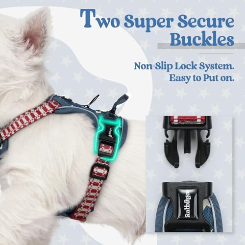 Dog Harness No Pull for Small Dogs with 2 Leash Clips (X-Small / Blue Star)