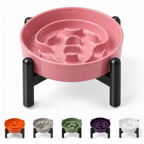 Elevated Slow Feeder Dog Bowl (Pink / S（1 Bowl with Stainless Steel Stand）)