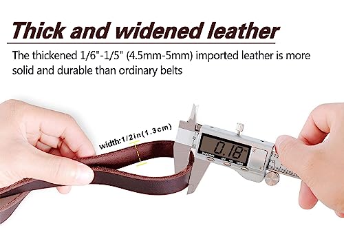 Leather Dog Leash 6 ft x 1 (6 ft x 1/2 inch / Brown)