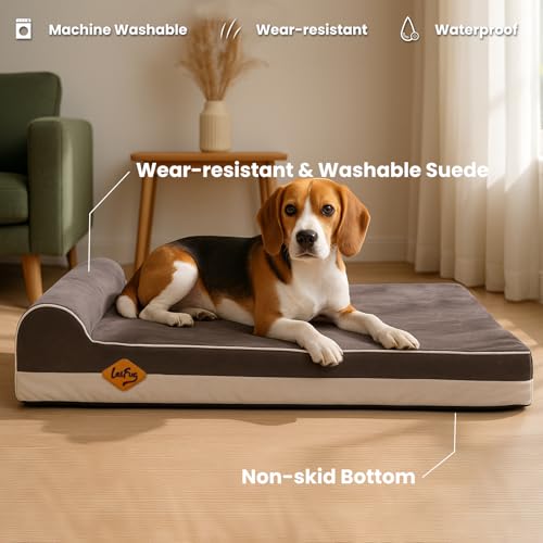 Orthopedic Dog Beds for Large Dogs (34.0"L x 22.0"W x 5.5"Th / Grey)