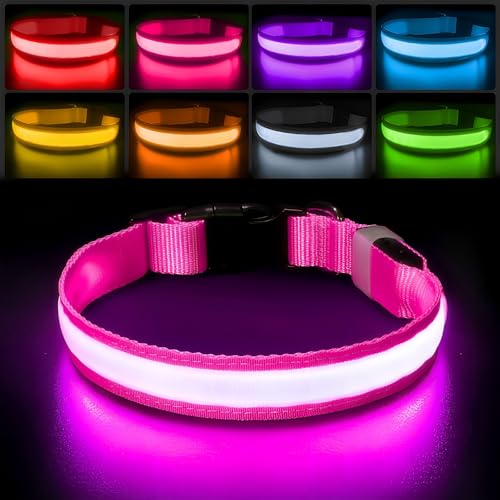 Light up Dog Collar (Pink / L(19 inch-23.6 inch))