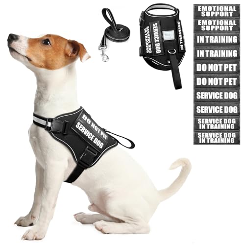 Service Dog Harness and Leash Set (Small / Black)