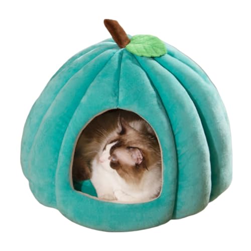 Cat Beds for Indoor Cats (Blue-01 / 22 in)