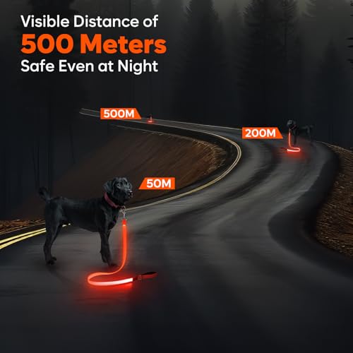 LED Dog Leash (Orange)