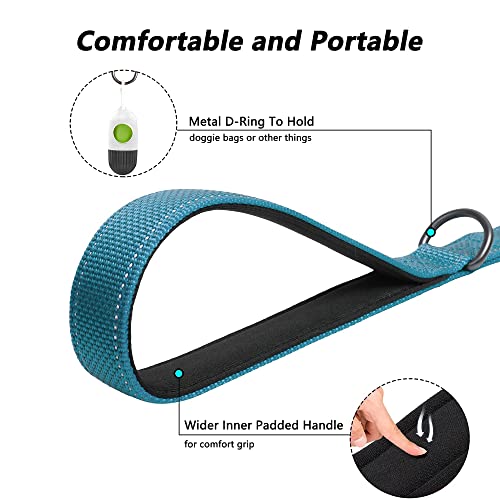 4FT Heavy Duty Dog Leash with Soft Padded Double Handle (4 FT x 1 in Wide / Blue)