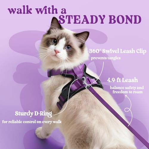 Cat Harness and Leash Set (M / Purple)