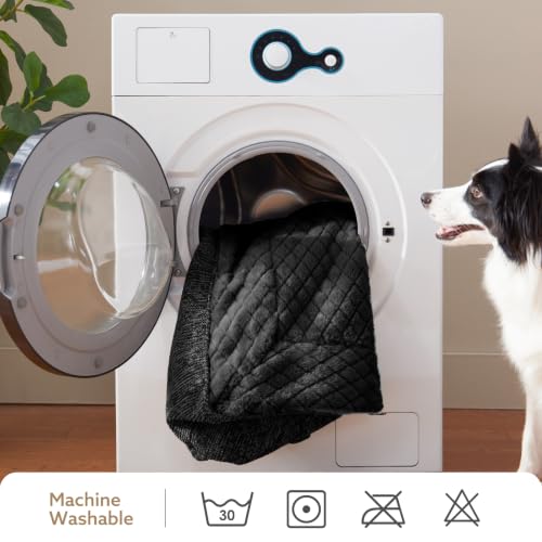 Extra Large Orthopedic Dog Beds Large Sized Dog (XXL(48"L x 34.5"W x 10"Th) / Black)