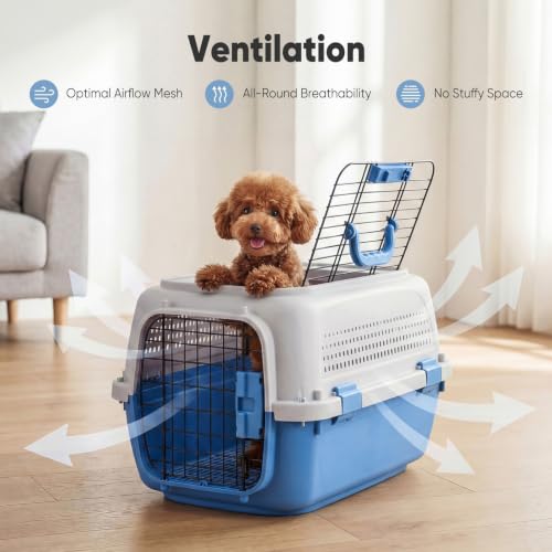 23" Hard Sided Pet Carrier for Small Pets (Modern Blue / 22.4"L x 14.6"W x 13.0"H)