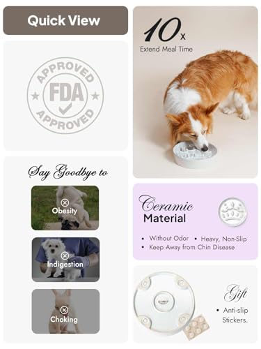 Dog Bowls Slow Feeder Ceramic (Crown Silver / M-1.5 Cups)