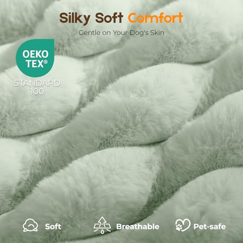 Orthopedic Dog Bed for XL Dog (Green / 41"x27"x4")